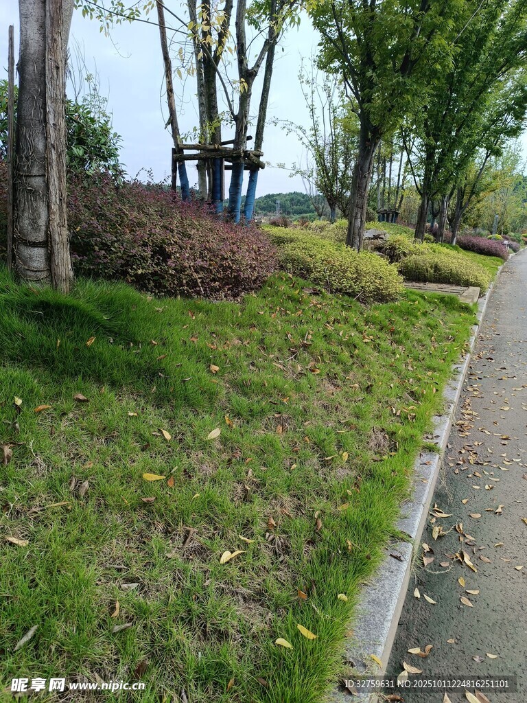 春日小径旁的绿意景致