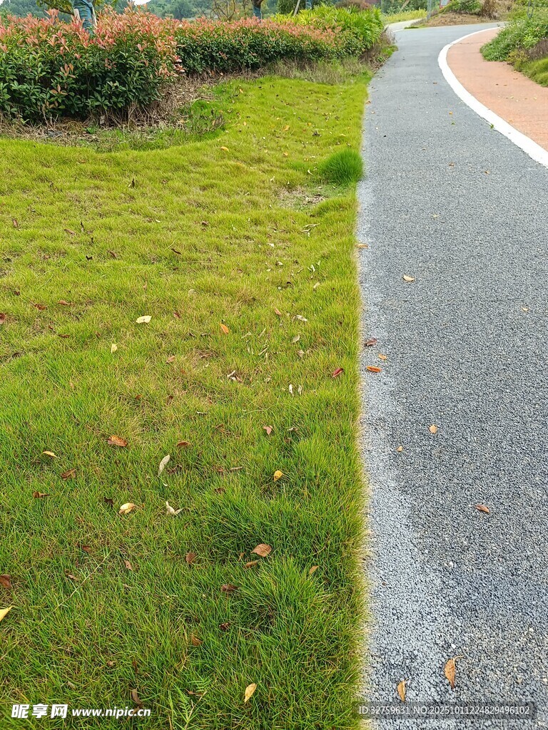 雨后清新的草地与步道