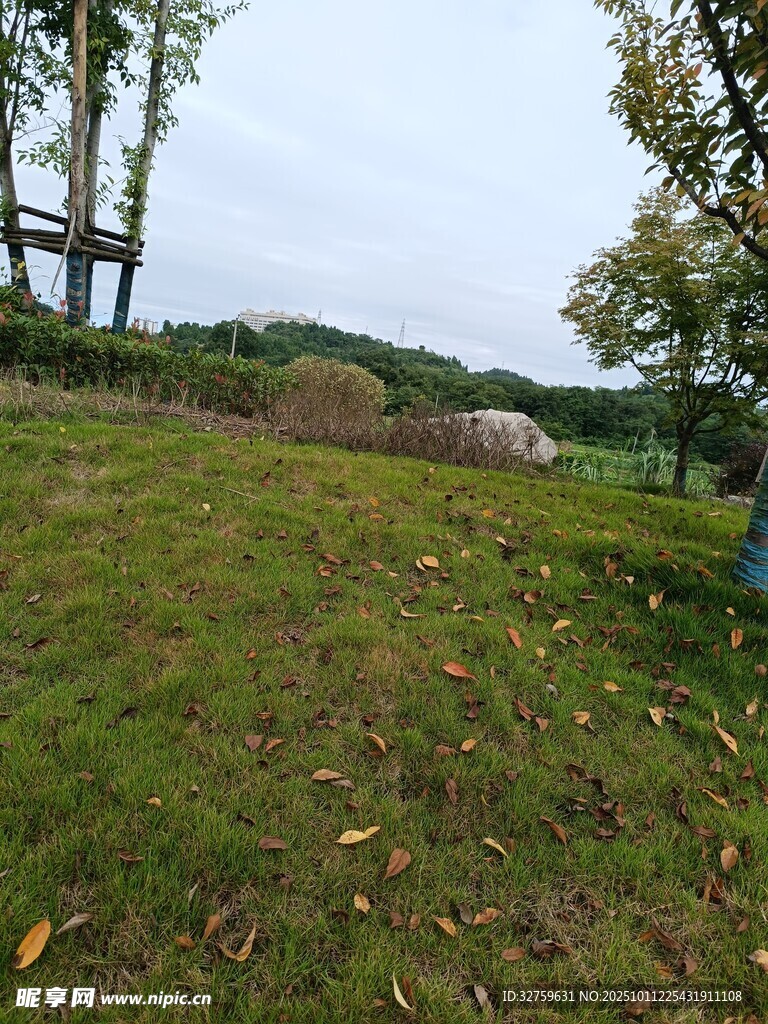 户外草地树木风景图