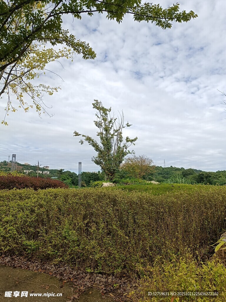 乡村田野风光景致