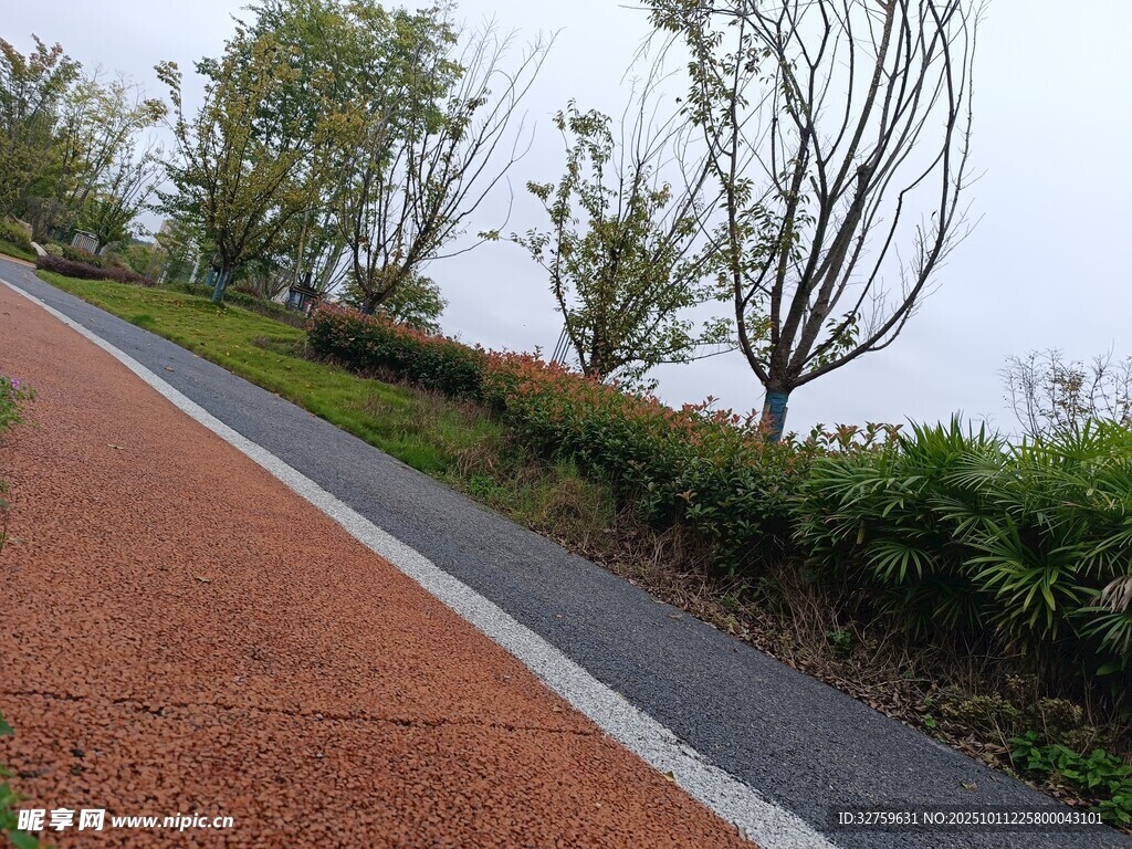 户外公园彩色步道风景