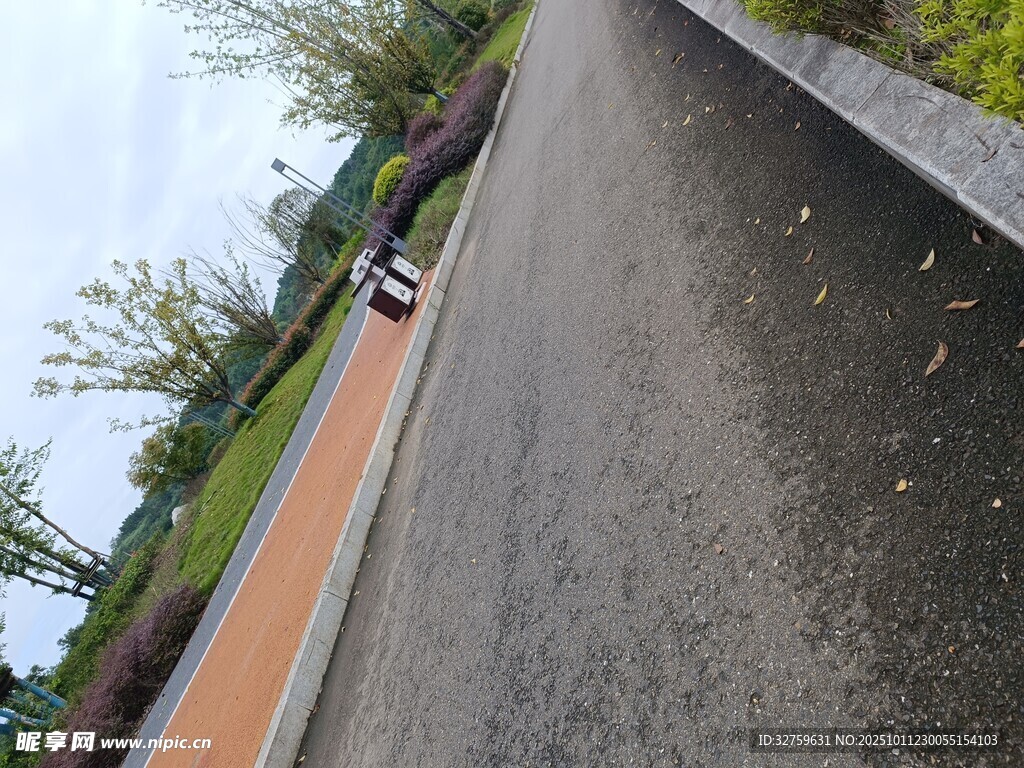 户外空旷道路与绿植景观