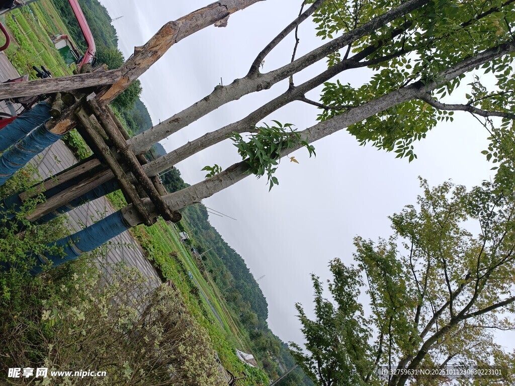 户外木质观景架与自然风光