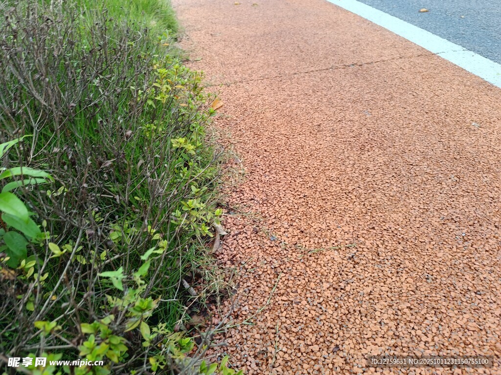 路边红褐色步道与绿植