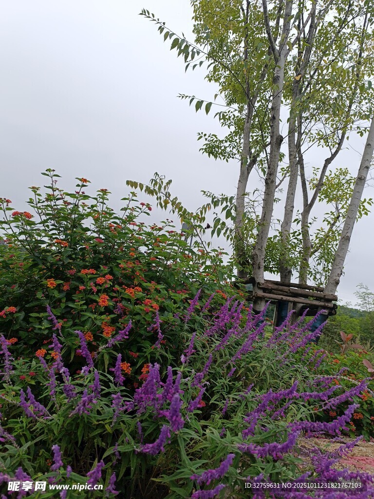 雨中多彩花卉与树木景观