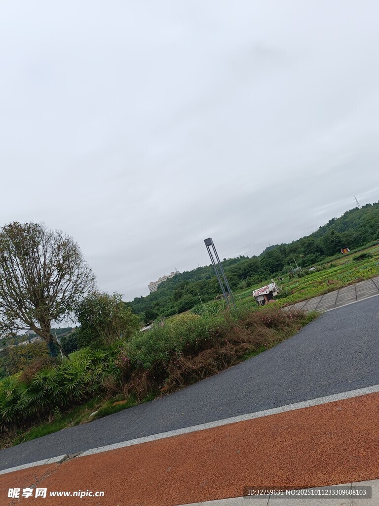 郊外道路边的绿植与景观