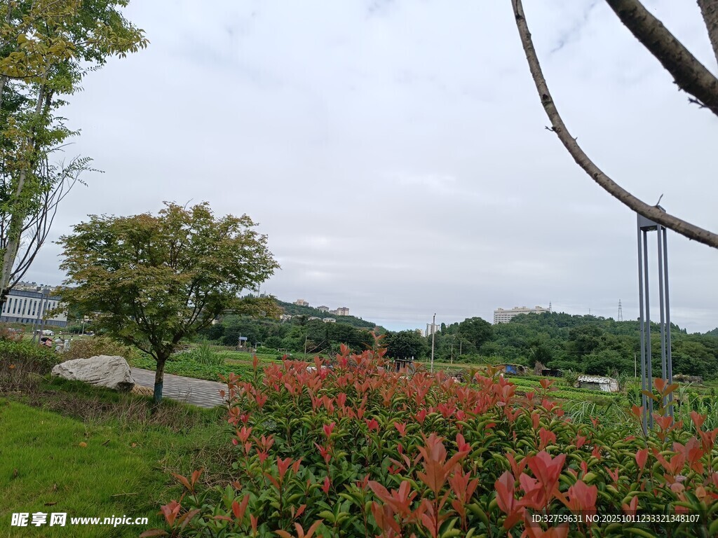 河畔繁花与桥梁美景