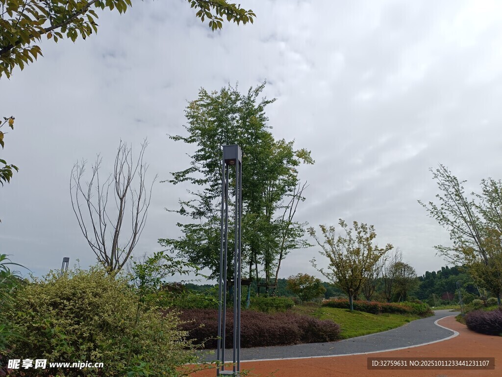 城市公园中的绿植景观