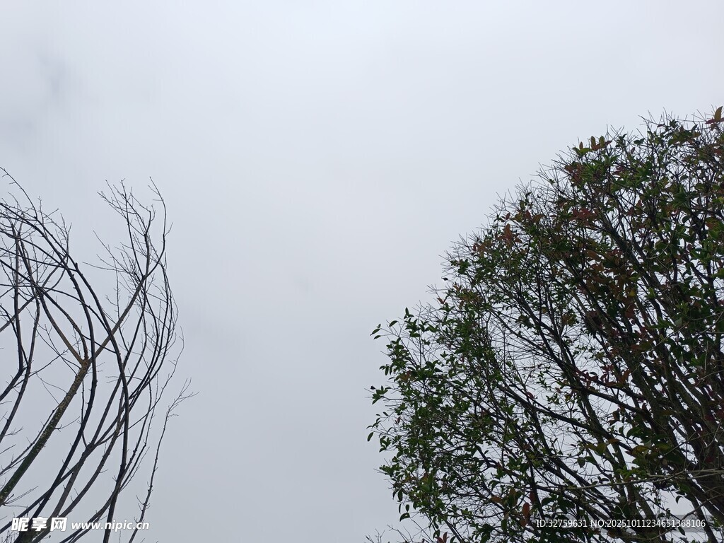 抽象铁艺与绿植对比景观