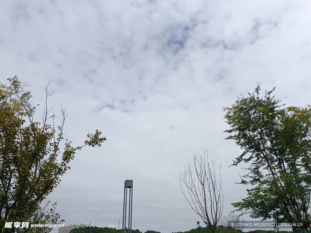 户外风景中的高塔与树木