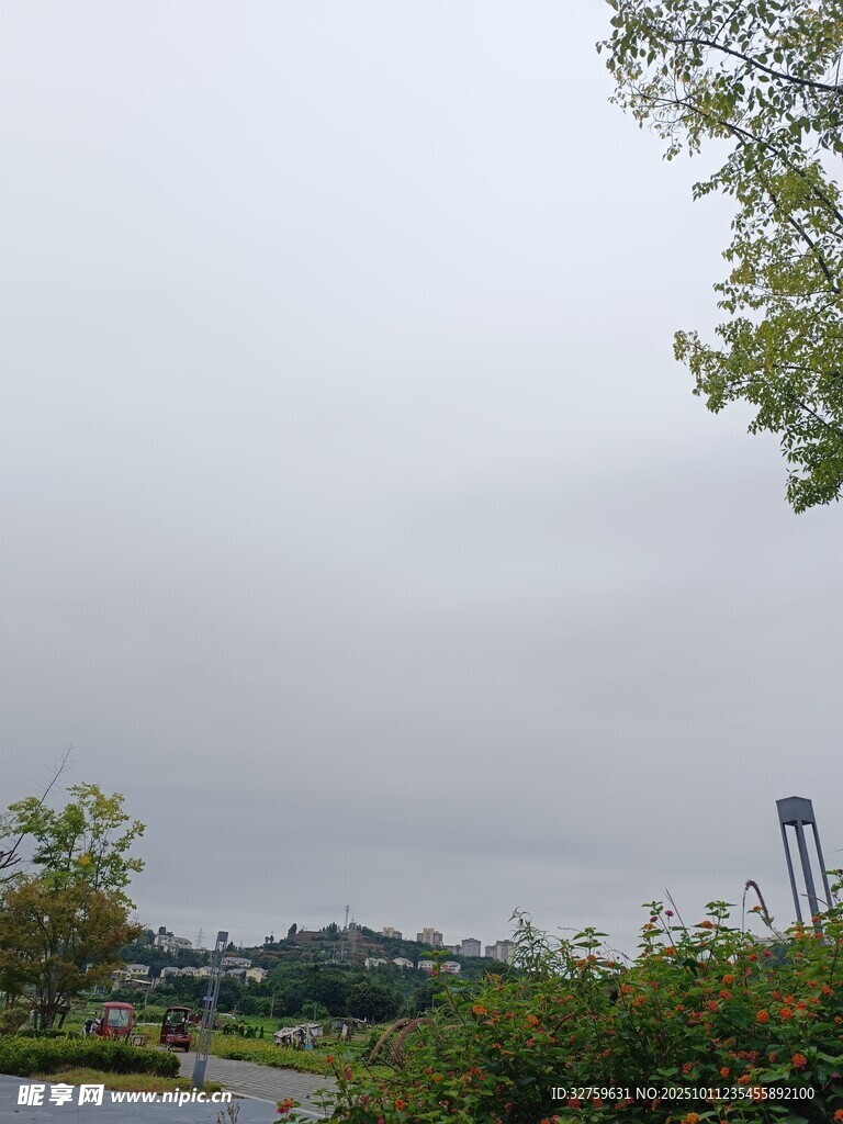 阴天的户外绿植景观