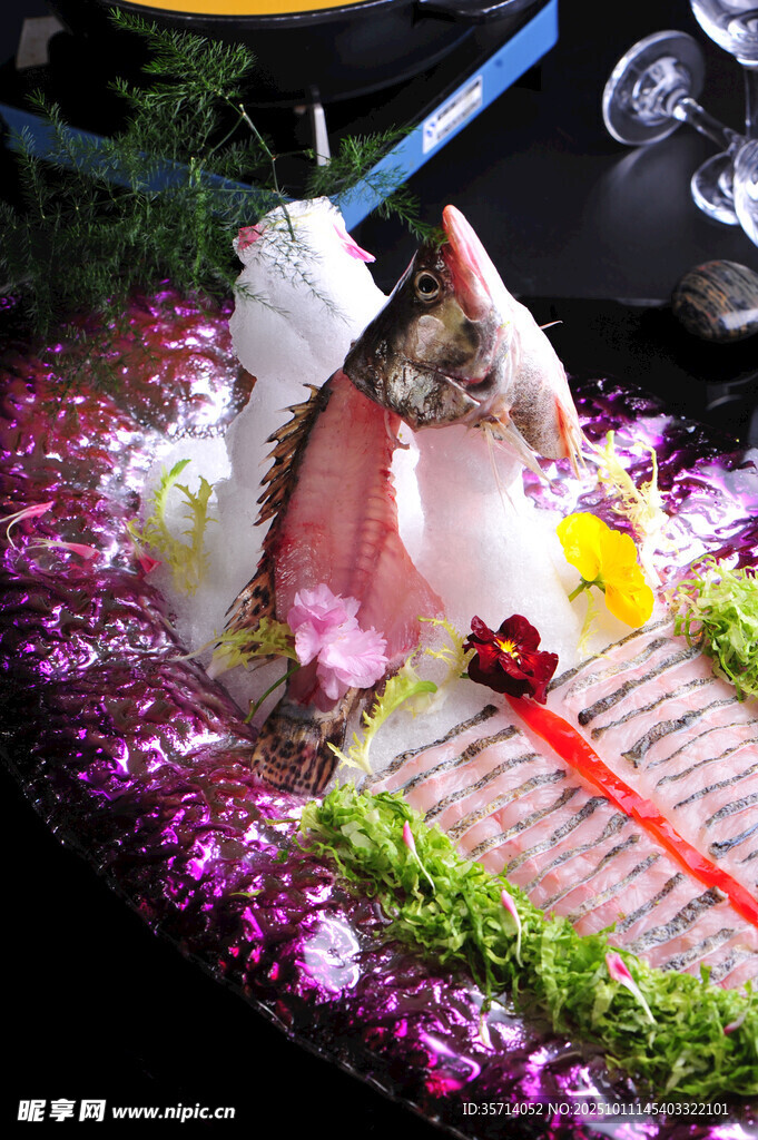 猫咪置身缤纷花丛中