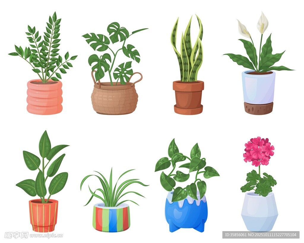 盆栽植物