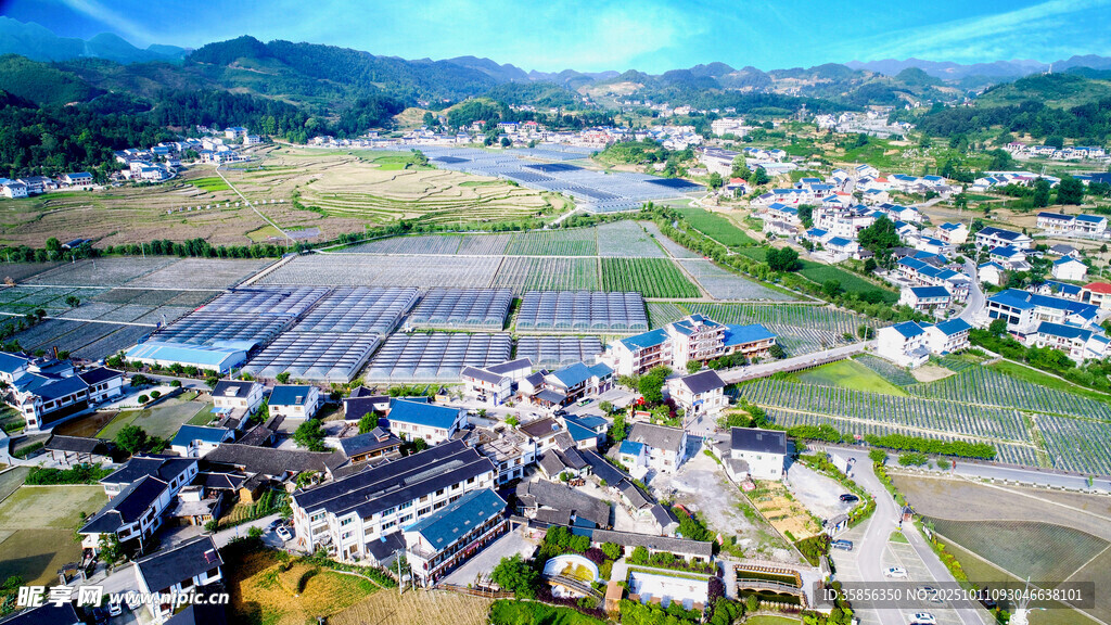 花茂村美景
