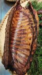 腊肉排骨特写