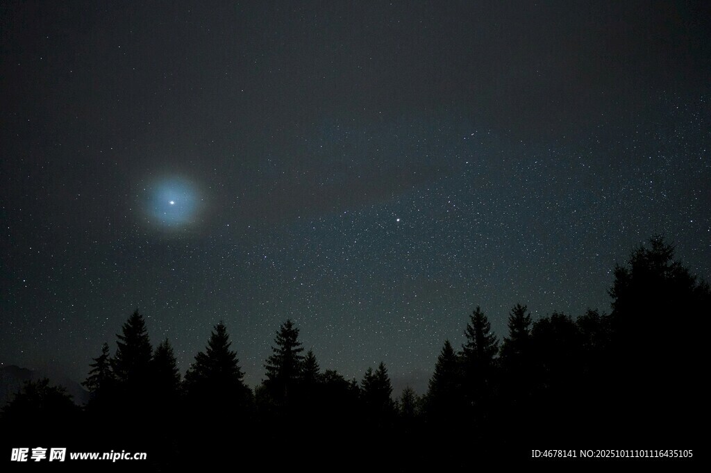 月夜森林静谧星空美景