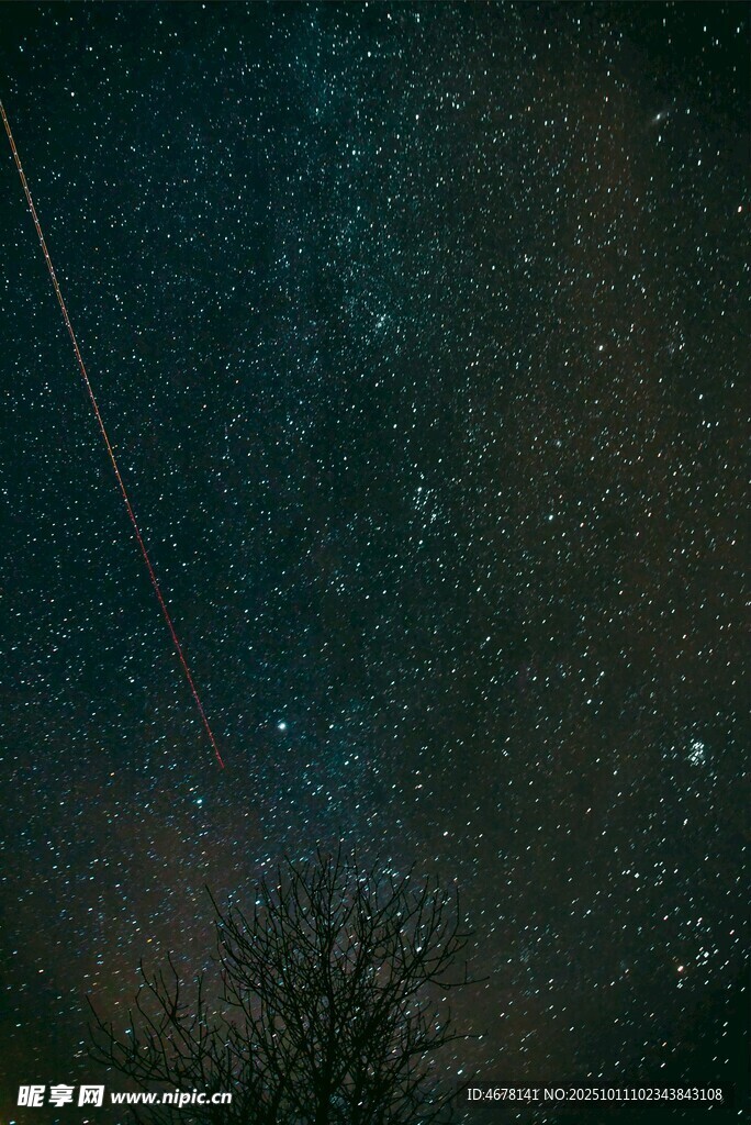 夜空繁星与朦胧树影