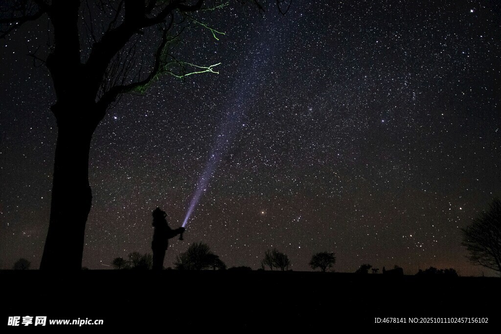 夜树下的星空与光影秀