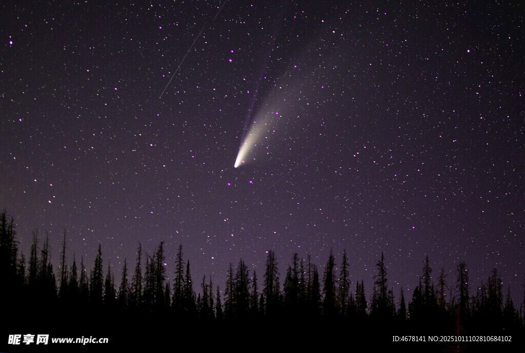 夜空中的彗星与森林剪影