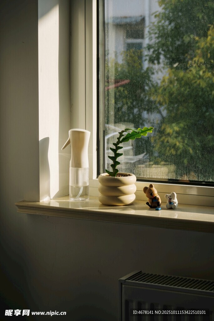 窗边绿植小景静谧时光