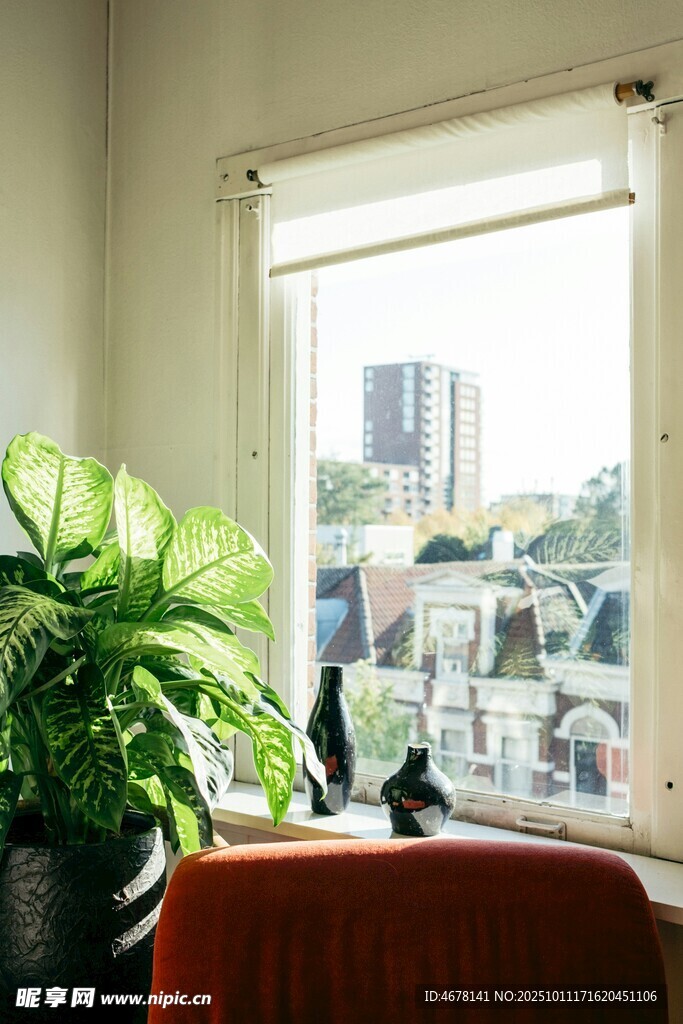 窗边绿植营造惬意室内景