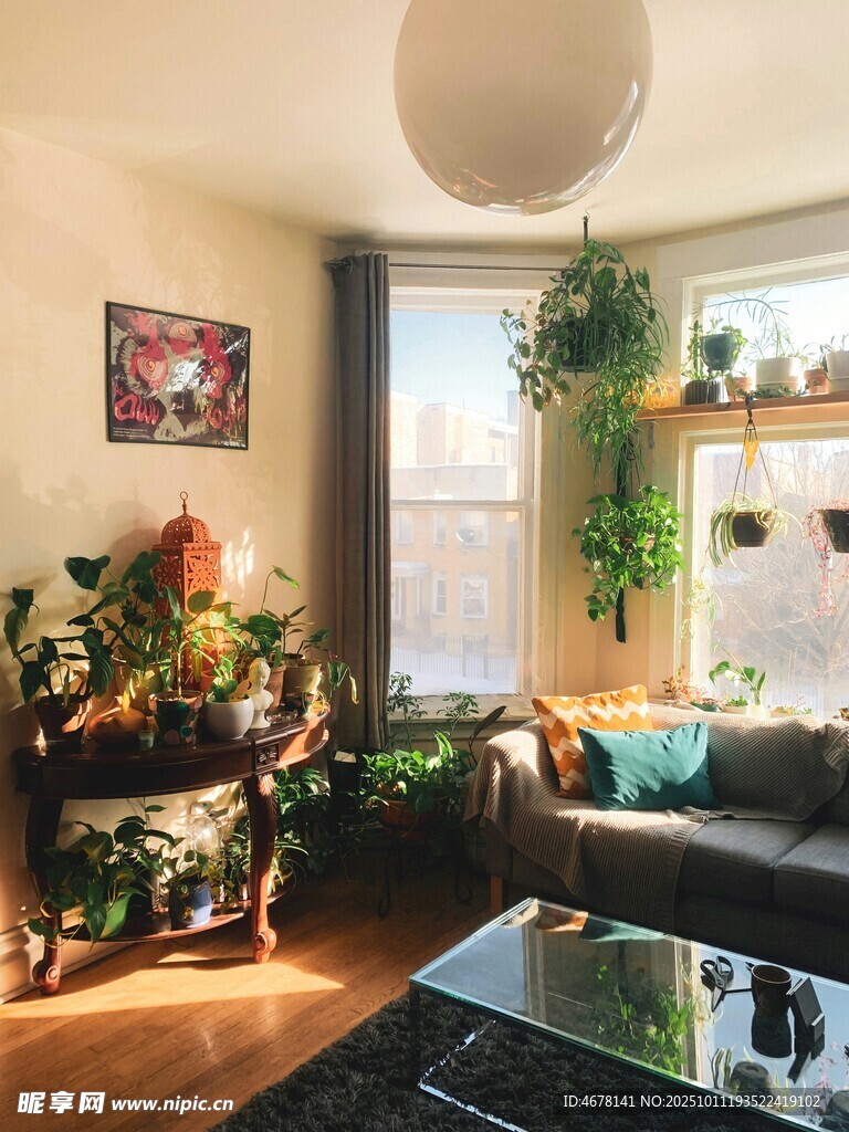 温馨绿植客厅室内场景