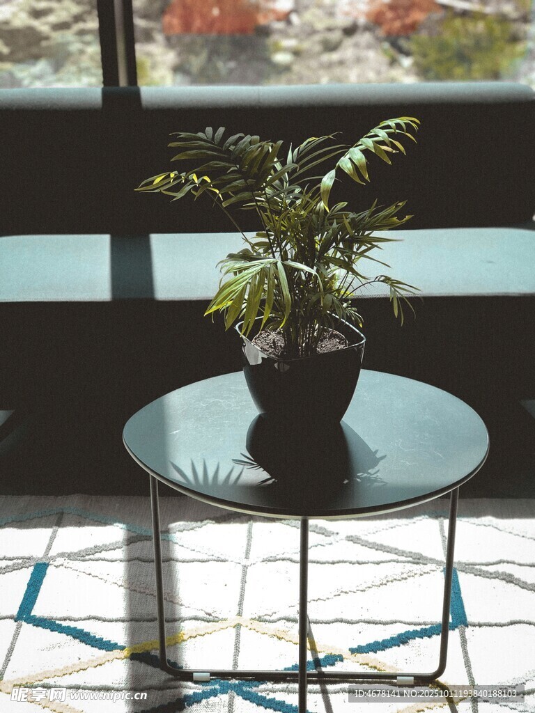 窗边圆桌上的绿植盆栽