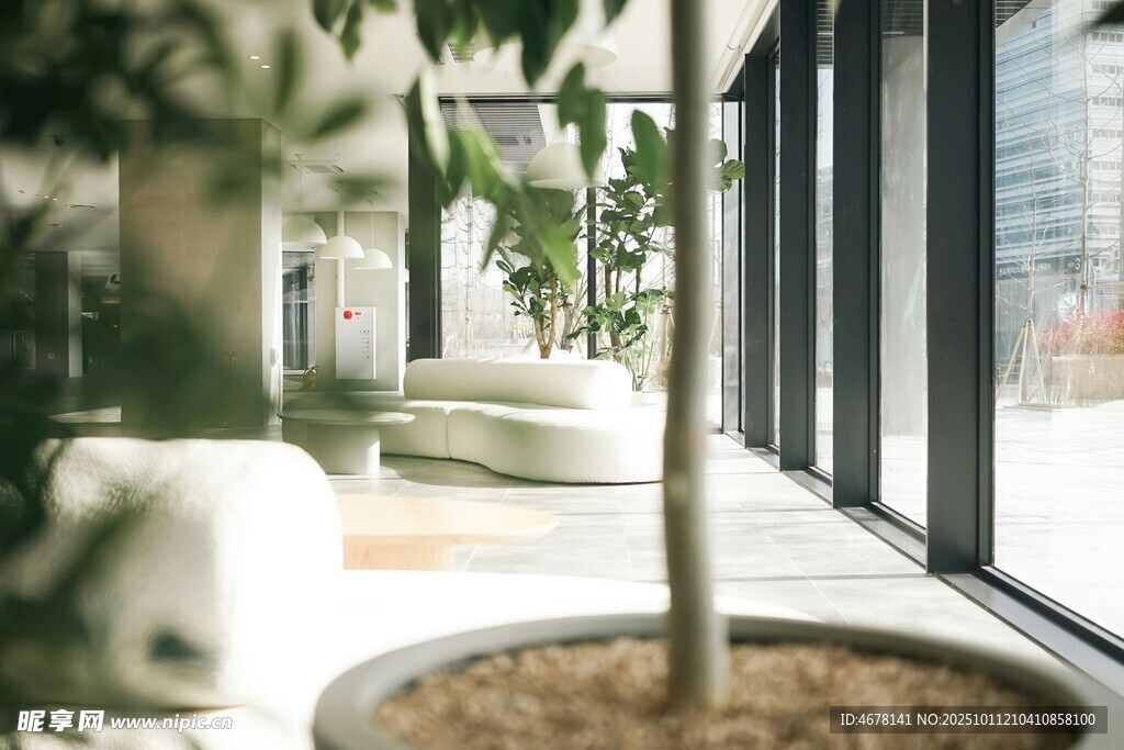 窗边绿植盆栽景观