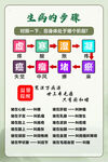 生病步骤