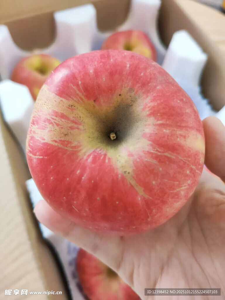 手捧新鲜红苹果