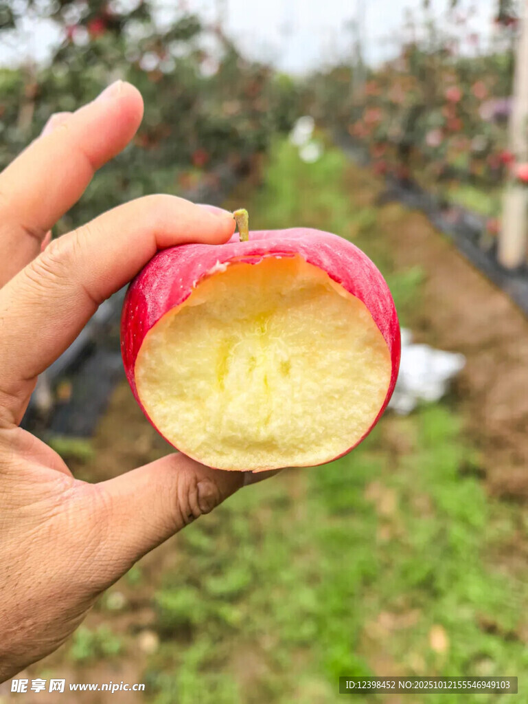 咬过的红苹果展示果肉