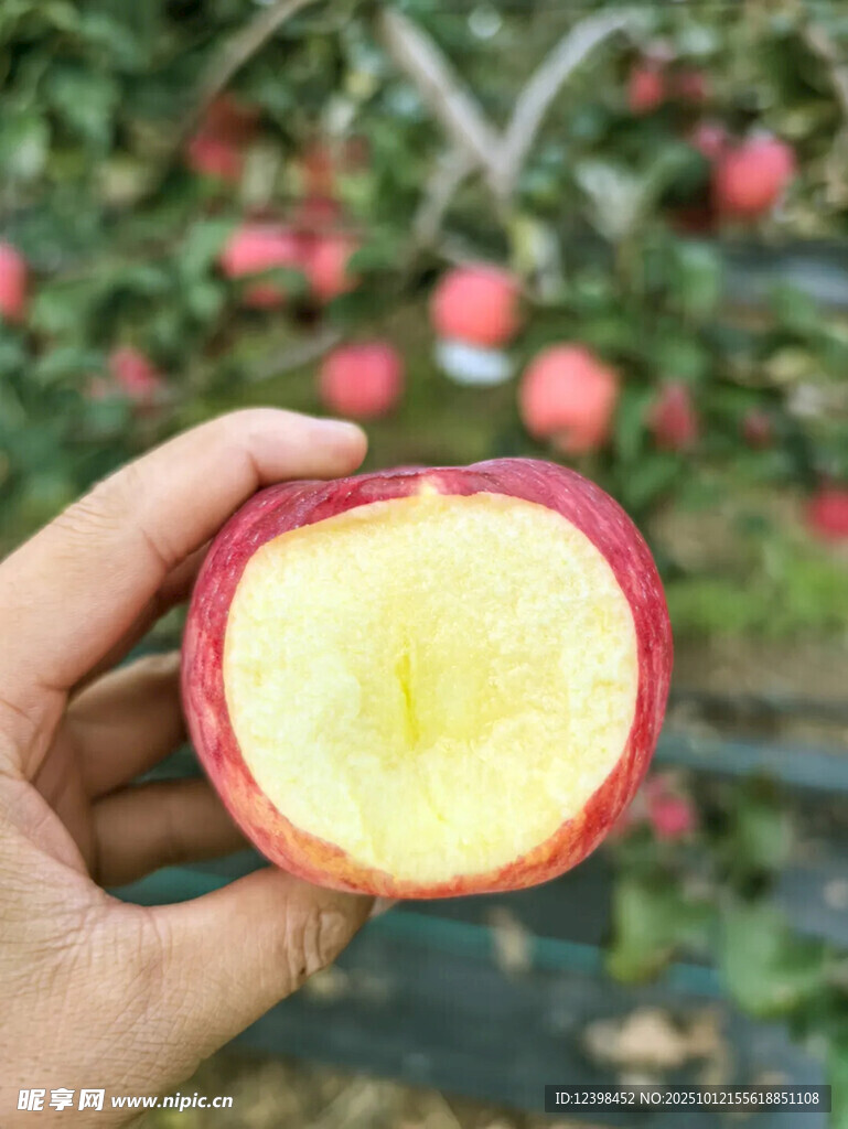 手捧切开的红苹果