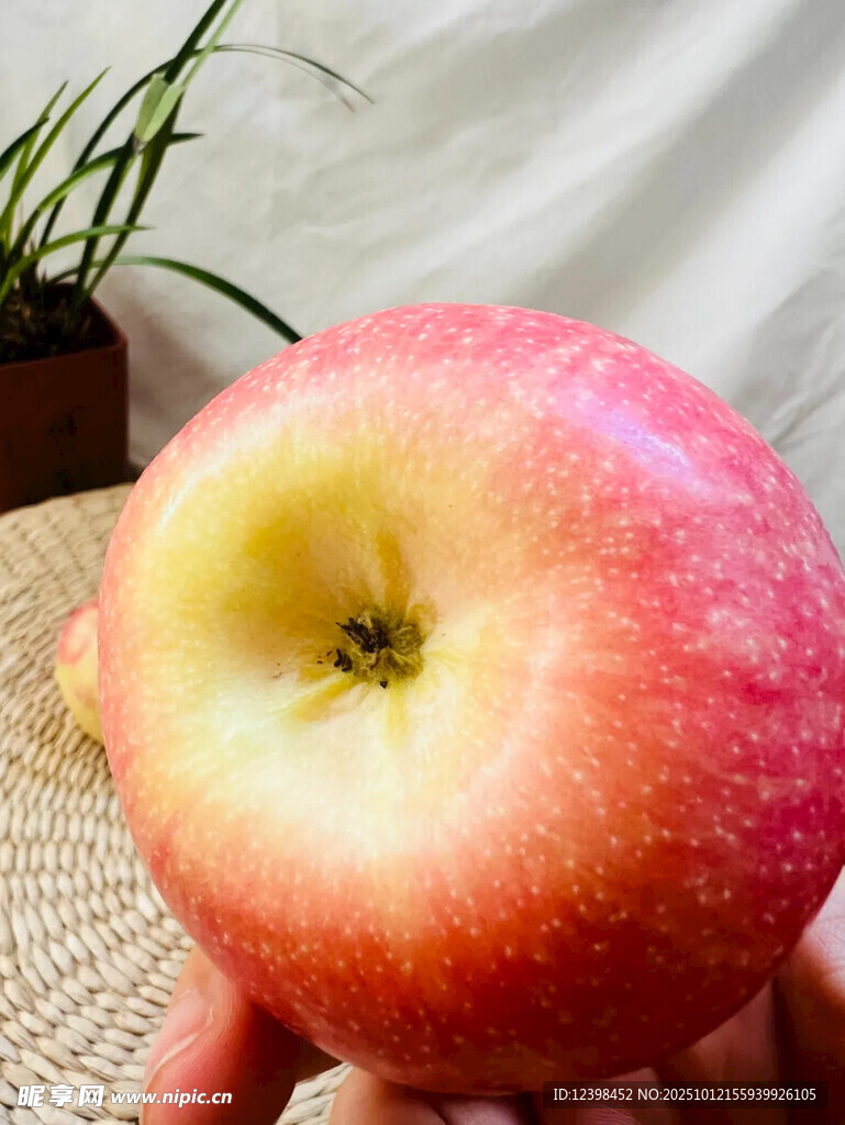 新鲜红苹果特写