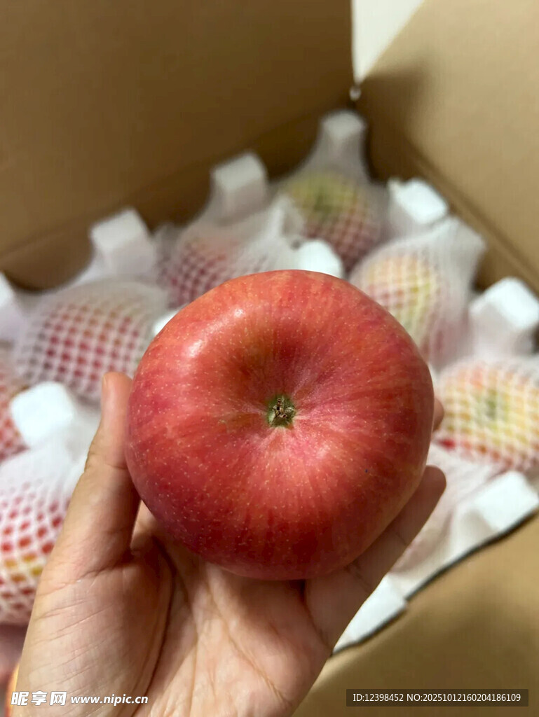 手捧鲜红饱满的新鲜苹果
