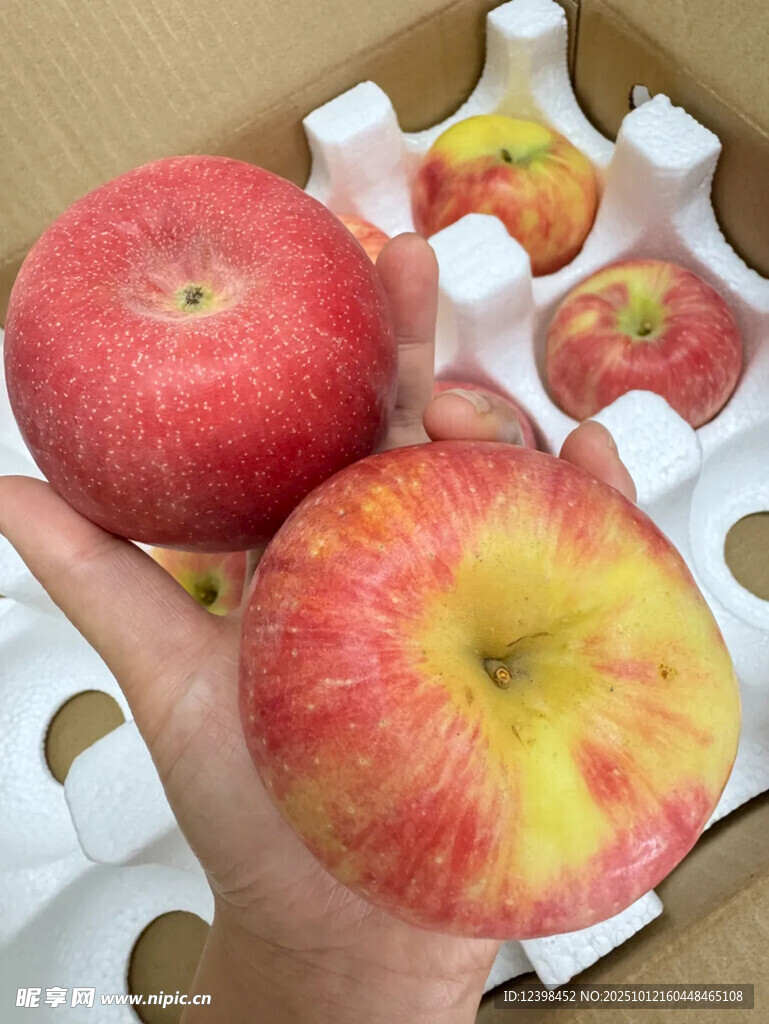 手捧新鲜红苹果