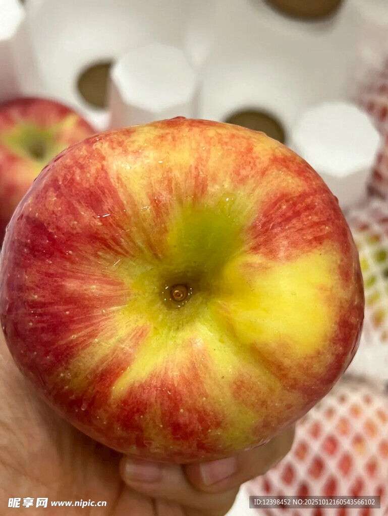 鲜艳多汁的红苹果特写