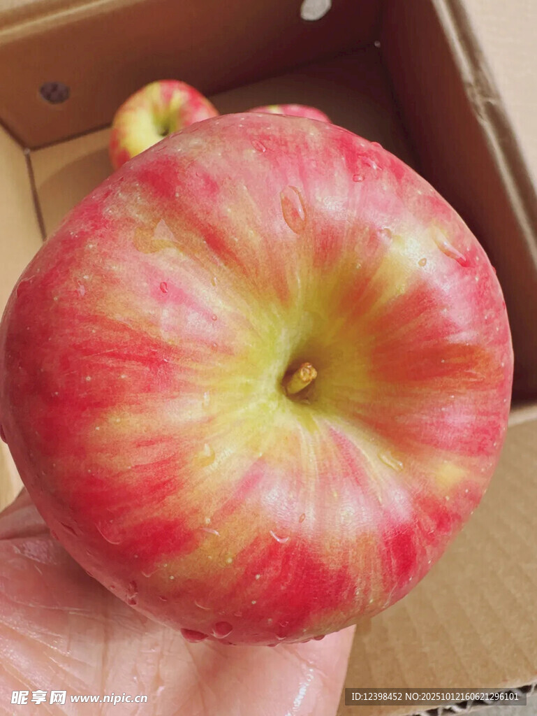 独特造型的红黄相间苹果