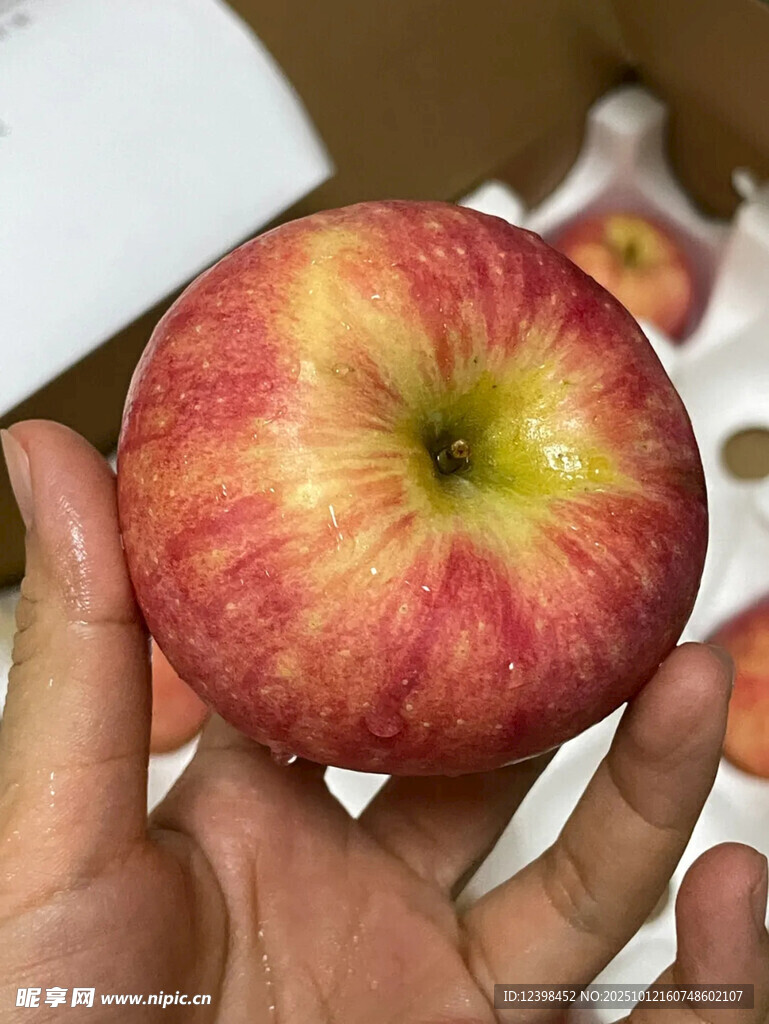 手中的红苹果