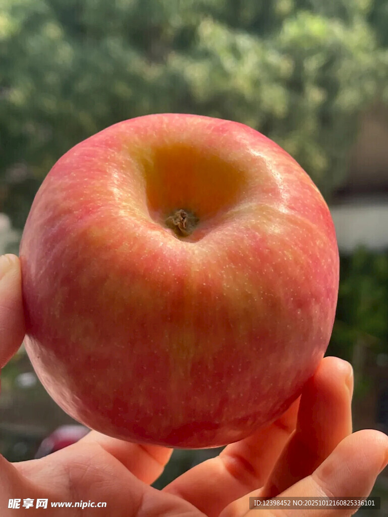 手捧鲜艳红苹果