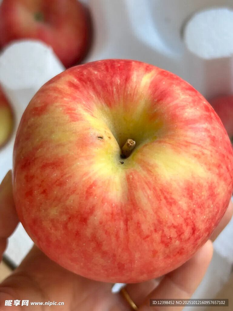 手捧红黄色泽鲜艳的苹果