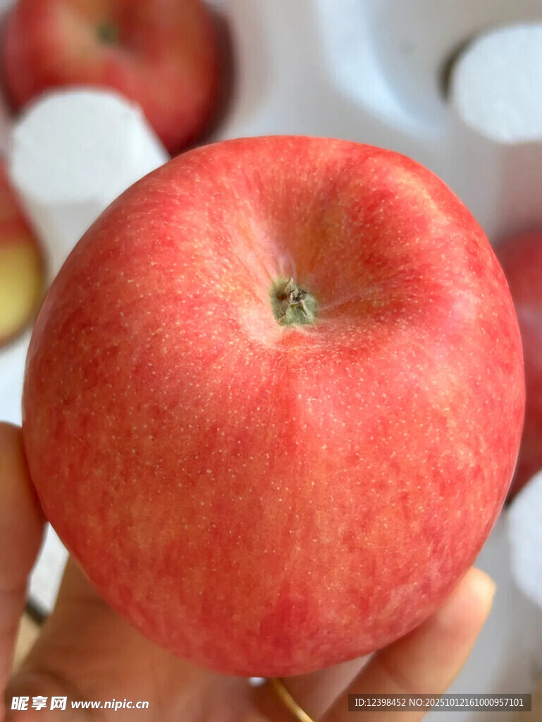 新鲜红苹果特写