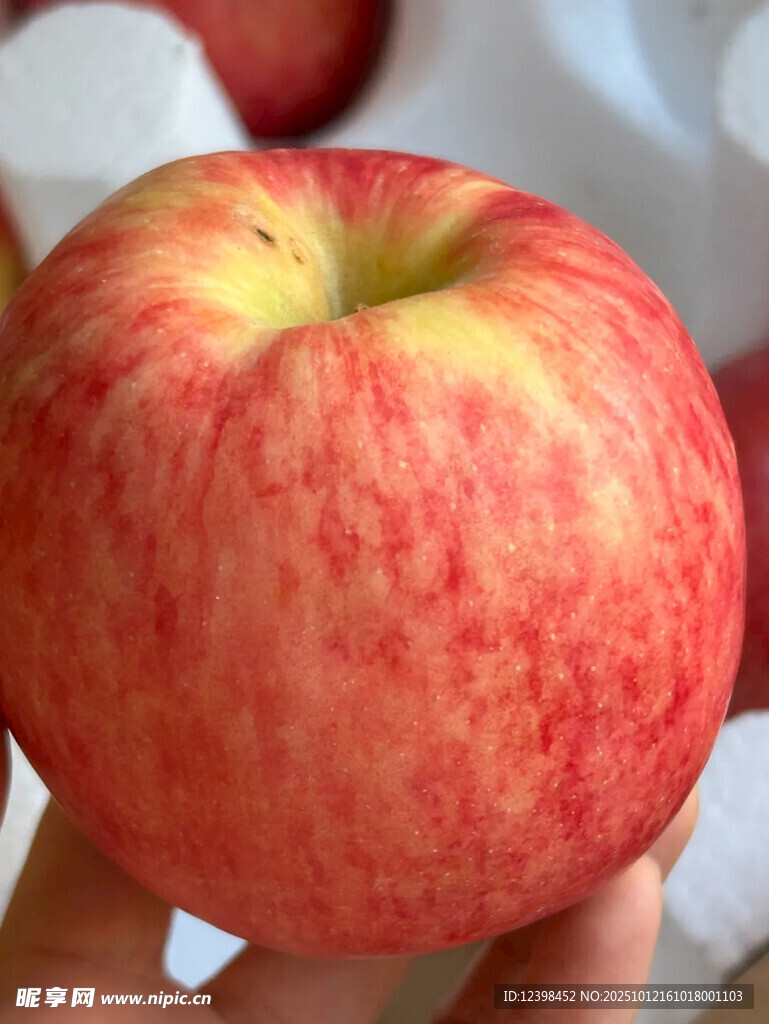 新鲜红苹果特写
