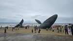 海滩鲸鱼雕塑吸引众多游客