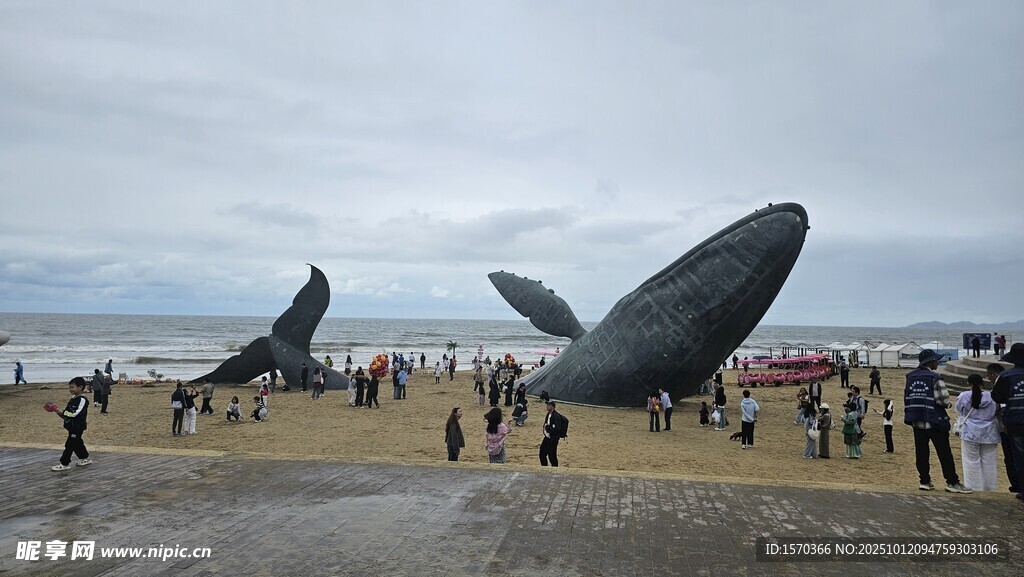 海滩鲸鱼雕塑吸引众多游客