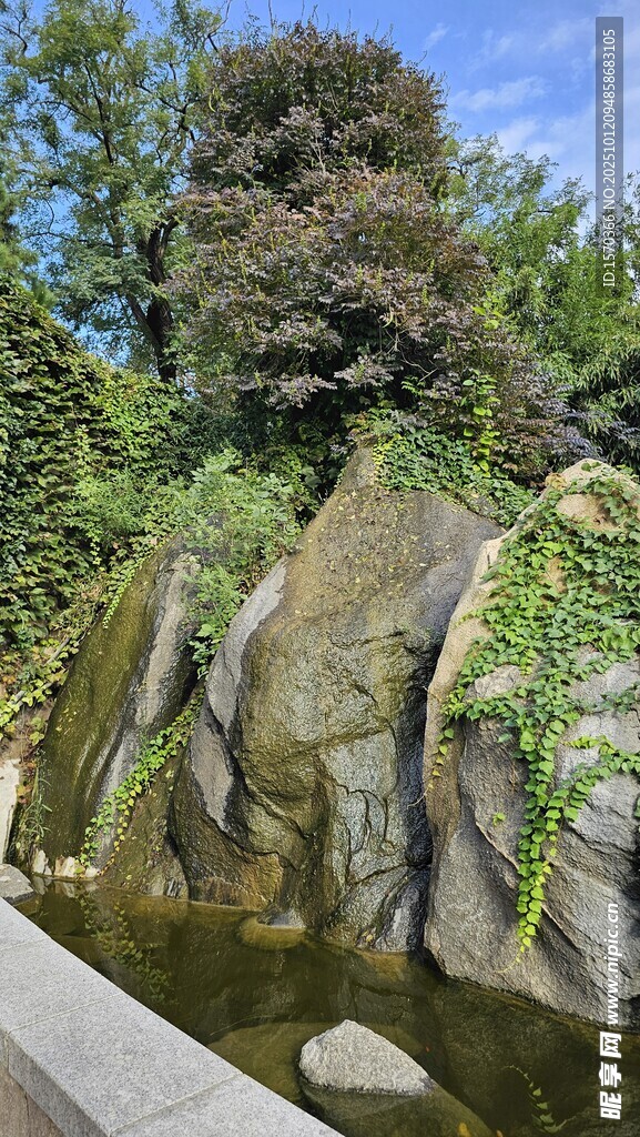 山间小瀑布 绿植环绕美景