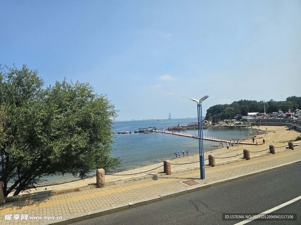 海滨公路旁的绿树与海景