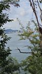 透过枝叶望宁静湖水