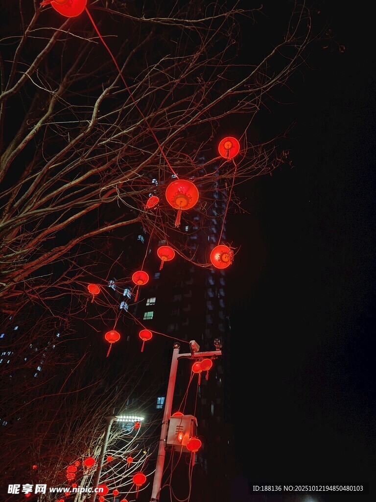 夜空中的红色灯笼景观