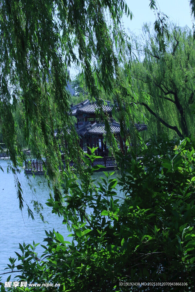 公园风景 
