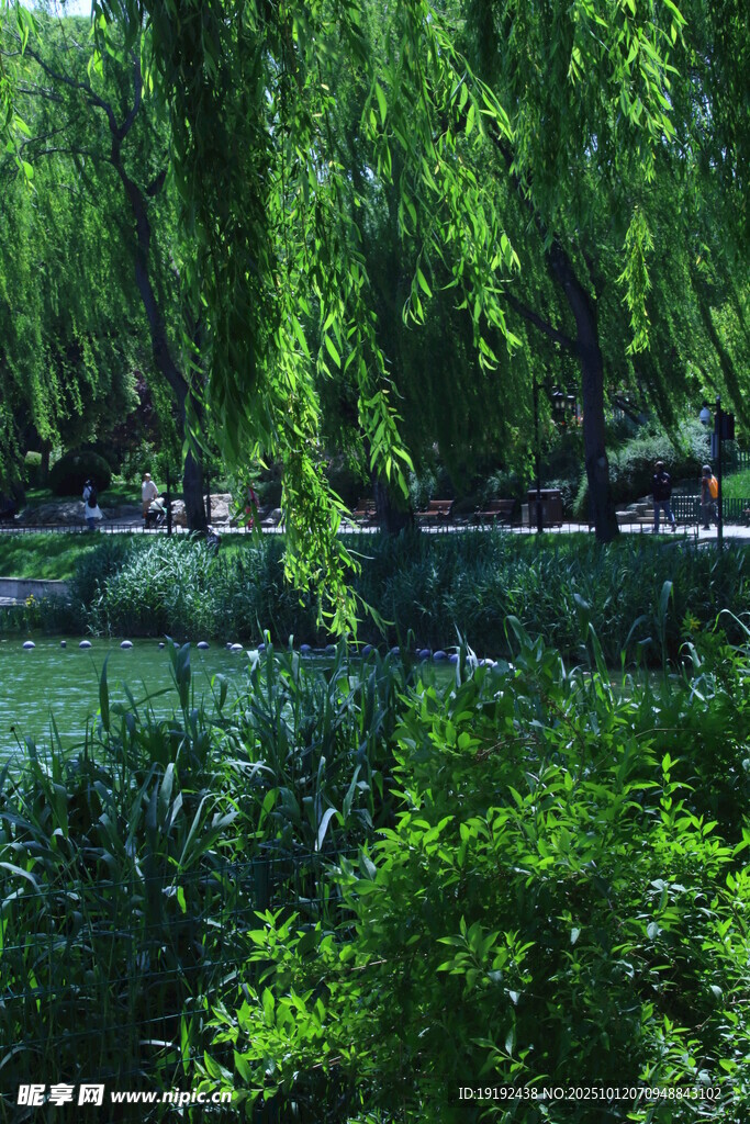 公园风景